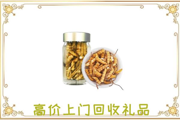 邳州市周边回收虫草